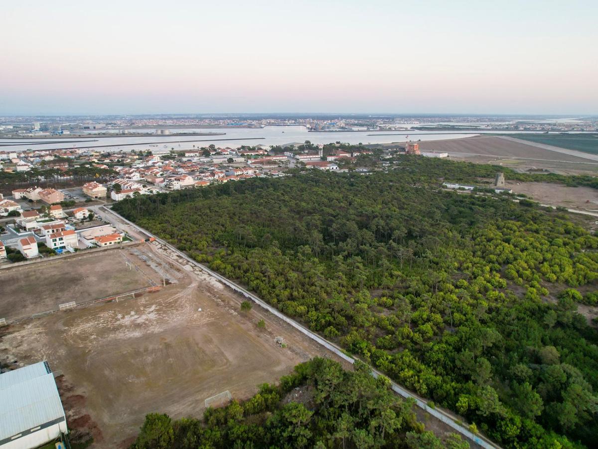 Apartamento Encantador Perto Da Praia, Em Sao Jacinto Lägenhet Aveiro Exteriör bild